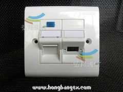 探究2口光纤面板的多元用途——以慈溪市弘邦通信设备厂为例